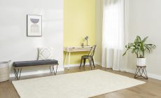 Light Yellow Accent Wall