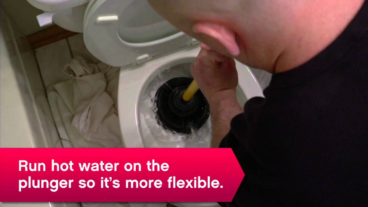 EnzymeBased Toilet Cleaner Tools & Materials ACE Tips & Advice