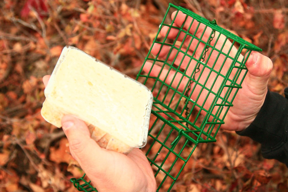 ACE Tips & Advice Helpful tips, videos and advice for home