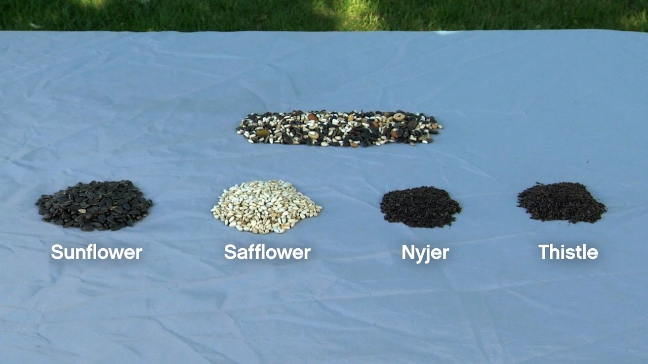 ACE Tips & Advice Helpful tips, videos and advice for home