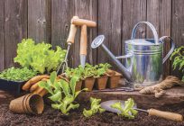 Gardening Tools, Plants and Pots