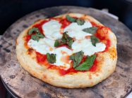 Margherita Pizza on the Big Green Egg