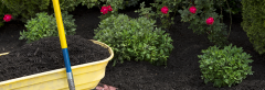 Mulched Landscaping Bed