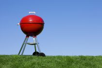 Red Weber Kettle Grill